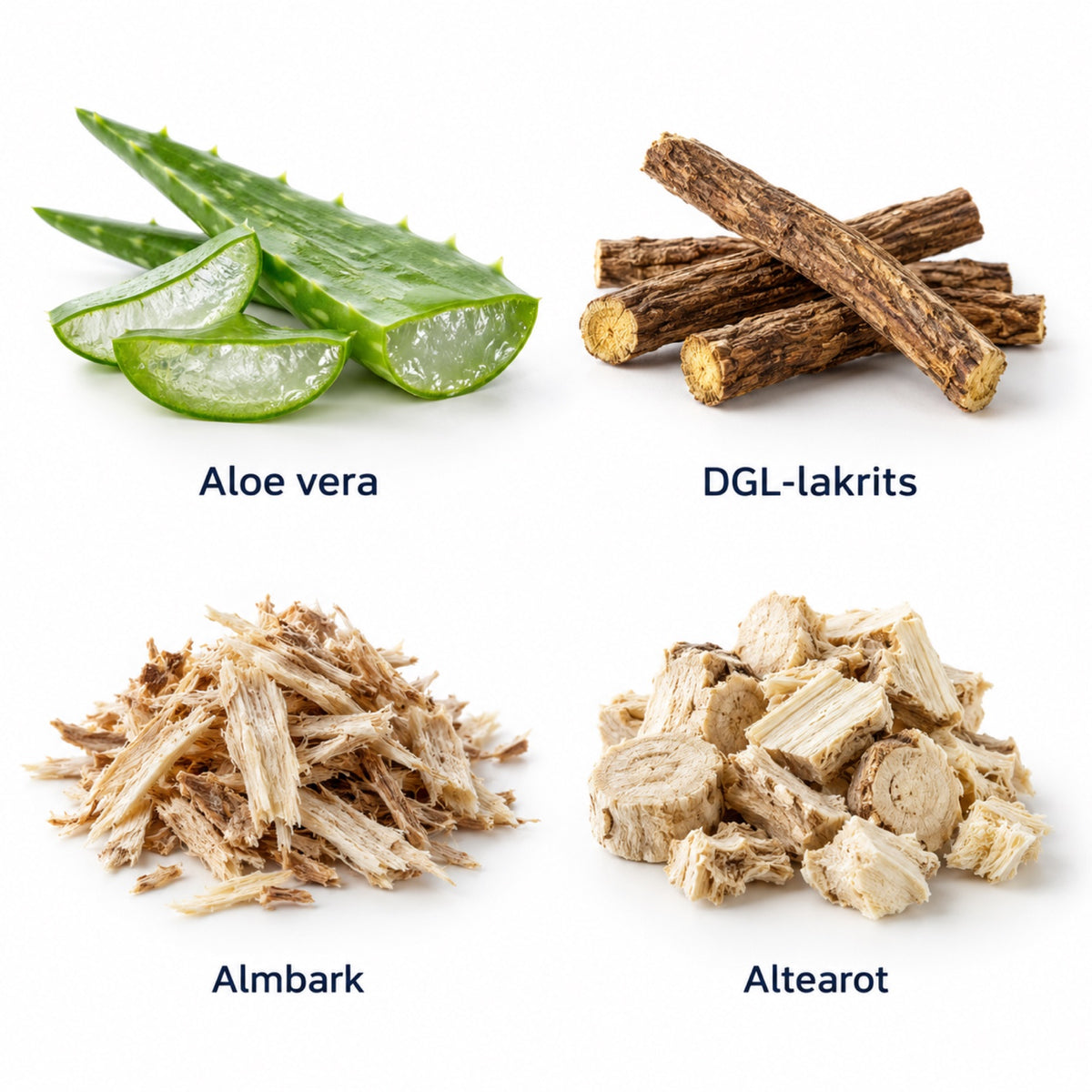 Aloe vera, DGL-lakrits, almbark och altearot